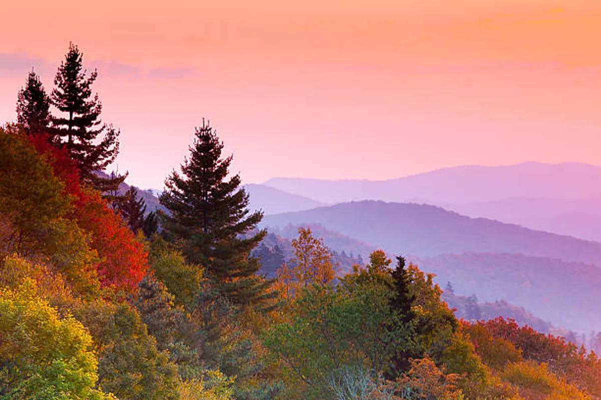 A tranquil vista featuring a range of mountains with colorful foliage and silhouetted trees. The scene is bathed in the warm light of sunset, showcasing nature’s vibrant palette and the untouched serenity of the Smokies. The image hints at hiking, wildlife, and the simple pleasure of watching the day end in a stunning natural setting.