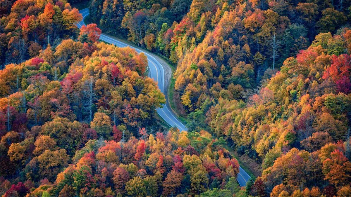 A picturesque winding road framed by vibrant autumn foliage, this scene perfectly captures the scenic drives mentioned in the section. The burst of color and the serene rural setting invite viewers to imagine starting their day with a drive through the mountains, setting the stage for adventure and exploration.